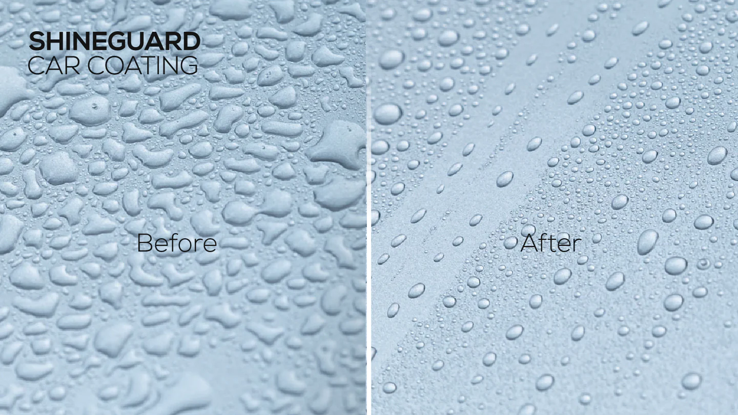 TRAPO Shineguard Car Coating - Image 3